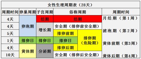 女生阴毛|女性阴毛的生理周期是什么样的？